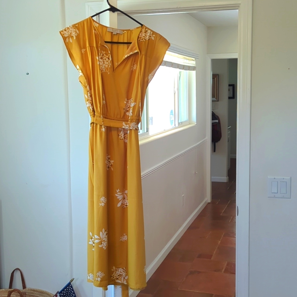 LOFT dress